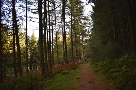 Walk near Frondeg
